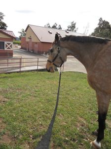 1473035_10201470565154210_1580915337_n