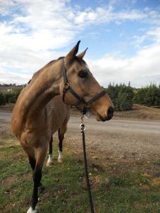 1477824_10201470567754275_1261377296_n